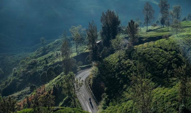 Cara ke Cartil Bandung. Foto hanyalah ilustrasi bukan tempat sebenarnya. Sumber: Unsplash/Aldri Suganda