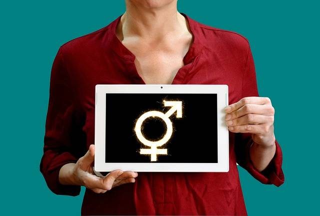 Gambar Ilustrasi Gender, Kesetaraan, Citra Lgbt, Sumber: Pixabay/ Tumisu