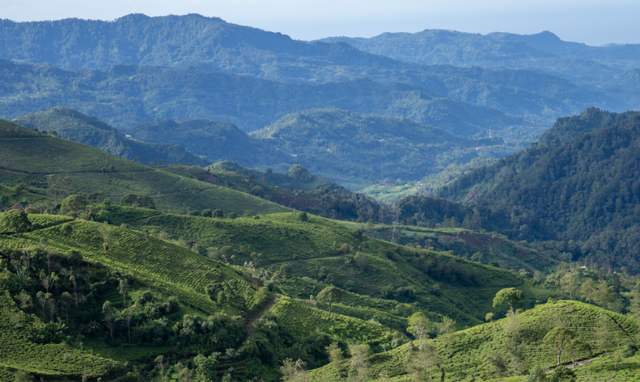 Lembah Curugan Gunung Putri. Foto hanya ilustrasi, bukan tempat sebenarnya. Sumber: Unsplash/Faishal Murtadho