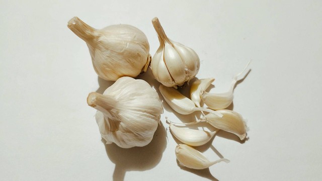 Ilustrasi manfaat bawang putih untuk perkutut.. Sumber foto: Unsplash