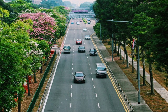 Ilustrasi daftar negara yang mengizinkan penggunaan SIM Indonesia. Foto: Kyllee Pangan/Unsplash