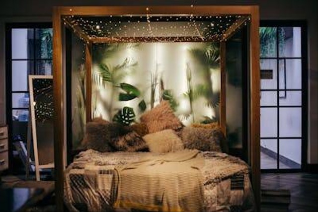 Ilustrasi tanaman hias untuk kamar tidur dengan sedikit cahaya. Foto: Pexels