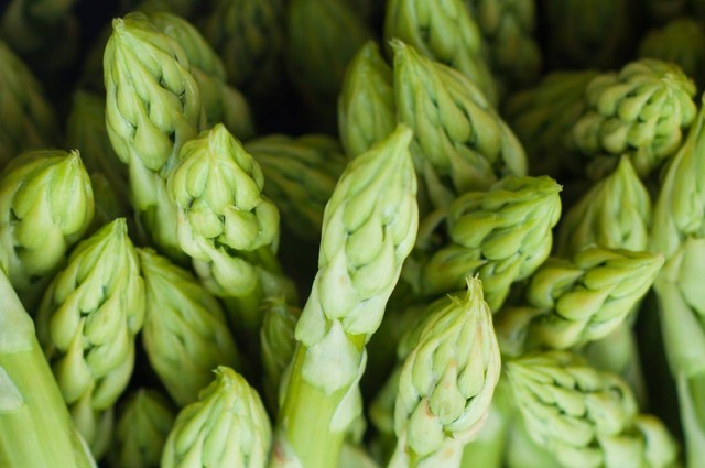 ilustrasi tanaman asparagus. Sumber foto: Pexels