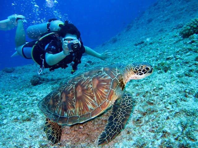 Ilustrasi lokasi diving di Bali, bukan tempat sebenarnya. Sumber: pexels.com