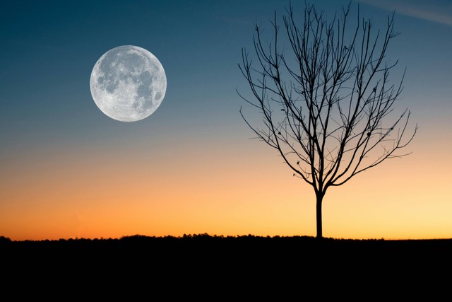 Ilustrasi penampakan permukaan bulan yang dilihat dari bumi selalu sama karena. Sumber: Pexels/David Besh