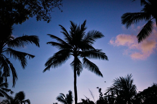 Tempat Wisata dekat Mulia Resort Bali, Gambar hanya ilustrasi, bukan tempat sebenarnya. Sumber Unsplash Herry Sutanto
