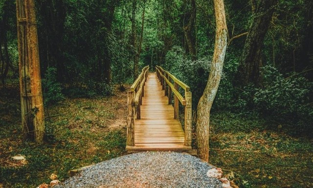 Foto Hanya Ilustrasi Tempat Wisata di Kulon Progo, Bukan Tempat Sebenarnya  Sumber Unsplash/Rafael Vianna Croffi