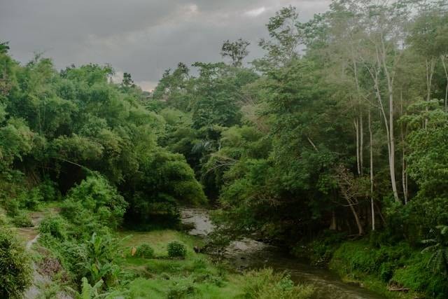 Taman Sungai Mudal. Foto hanyalah ilustrasi, bukan tempat yang sebenarnya. Sumber: Unsplash/Yosafat Herdian