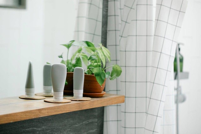 ilustrasi tanaman hias kamar mandi. Sumber foto: Pexels