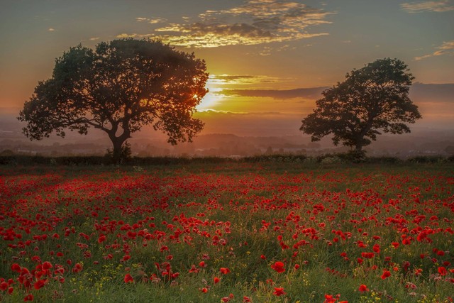 Silancur Highland Magelang. Foto hanya ilustrasi, bukan gambar sebenarnya. Sumber: Unsplash/ Derek Mack.