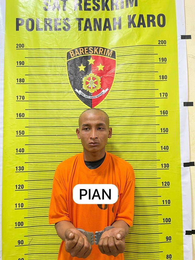 IAN (23) Pelaku penyerangan terhadap turis asal Prancis di Karo, Sumut, ditangkap. Foto: Dok. Istimewa