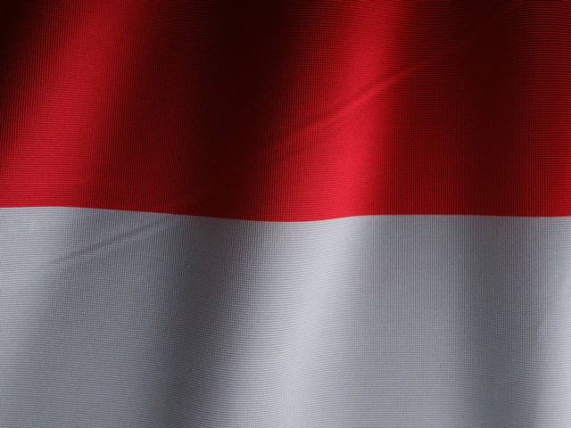 Ilustrasi Negara yang Mengakui Kemerdekaan Indonesia. Sumber: Unsplash.com/engin akyurt