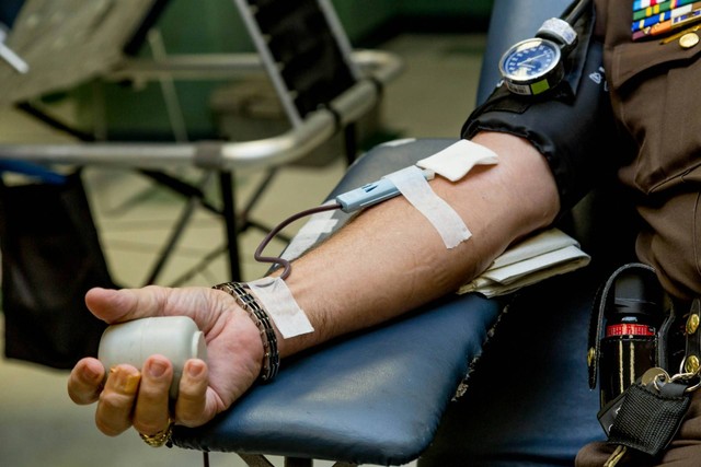 Ilustrasi Syarat Donor Darah PMI. Sumber: Unsplash/LuAnn Hunt