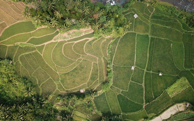 Ilustrasi sejarah tanah Jawa. Sumber: Tom Fisk/pexels.com