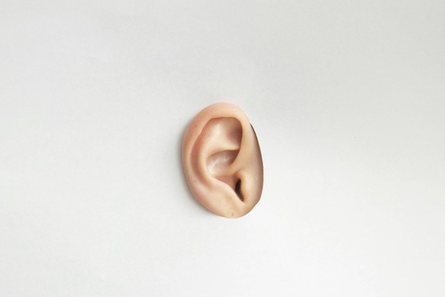 Ilustrasi untuk fungsi gendang telinga, Foto: Unsplash/Franco Antonio Giovanella