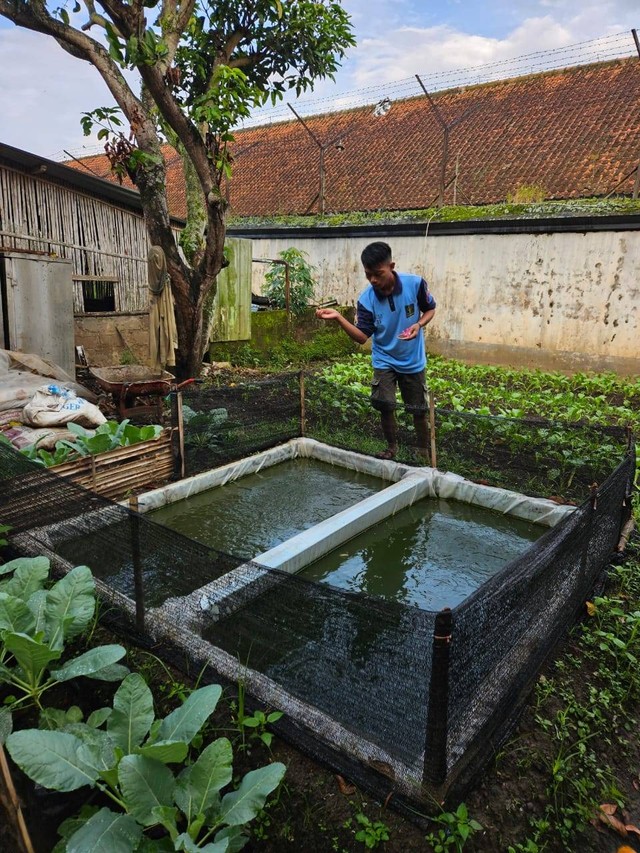 Budidaya Ikan di Lapas Magelang: Narapidana Rintis Usaha Baru untuk Masa Depan