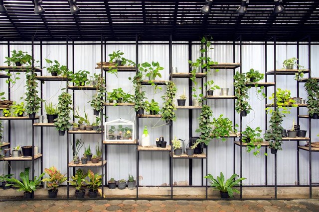 Ilustrasi Vertical Garden (Taman Vertikal) (sumber: shutterstock.com)