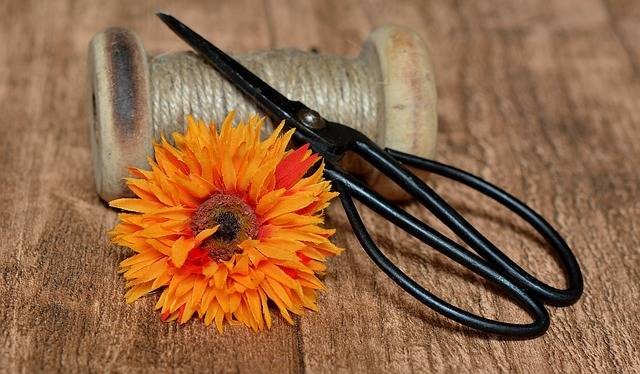 Ilustrasi cara merangkai bunga buatan dari bahan daur ulang. Foto: Petra/Pixabay