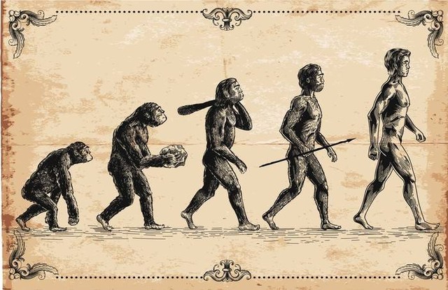 Ilustrasi evolusi manusia/i.Stock