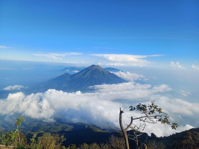 Sumber : Dokumentasi Pribadi Foto Keindahan Gunung Sumbing Saat Sudah Di Puncak