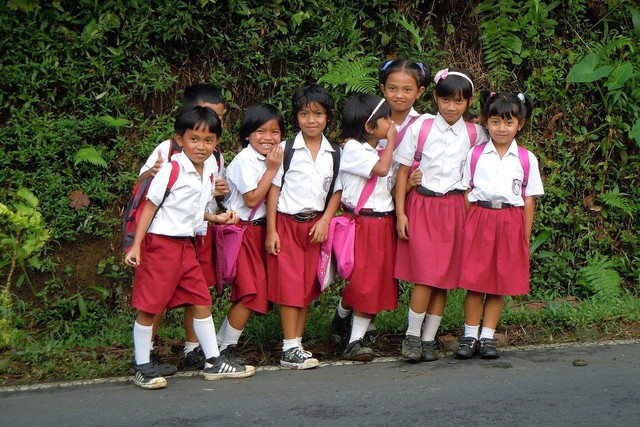 Ilustrasi mengapa bahasa indonesia memiliki peran penting dalam pembelajaran di sekolah - Sumber: pixabay.com/nico_boersen