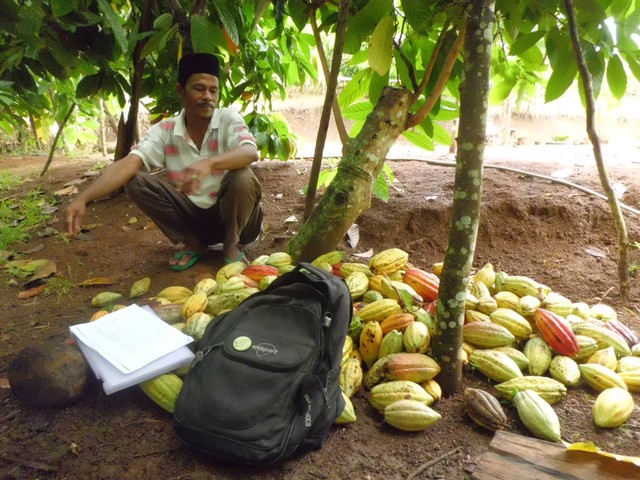 Petani kakao dan hasil panennya. Sumber: Dokumen pribadi