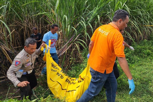Evakuasi mayat pria yang ditemukan di lahan tebu Dusun Wonoasri, Desa Badang, Kecamatan Ngoro, Kabupaten Jombang, Rabu (24/4/2024). Foto: Dok. Istimewa