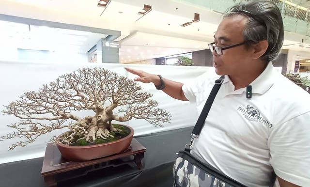 Yusli menunjukkan tanaman bonsai tertua yang ikut pameran di Surabaya. Foto: Masruroh/Basra