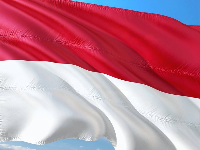 Ilustrasi fungsi bendera negara. Foto: Pixabay