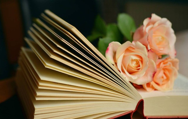 Ilustrasi buku fiksi best seller. Foto: Pixabay