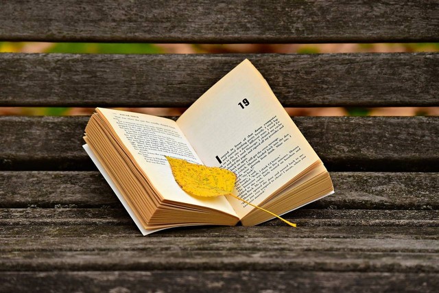Ilustrasi novel remaja tema romantis. Foto: Pixabay