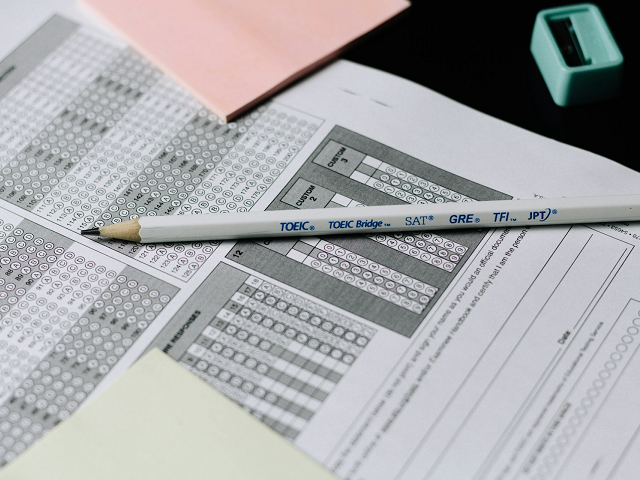 Ilustrasi soal ujian sekolah biologi kelas 12. Sumber: unsplash.com/NguyenDangHoangNhu.