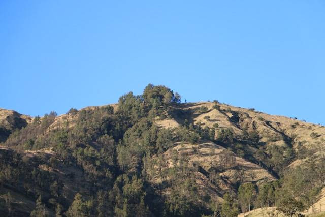 Lembah Dieng Gempol Pasuruan. Foto hanya ilustrasi bukan tempat sebenarnya. Sumber foto: Unsplash.com/Ilham Hadiansyah