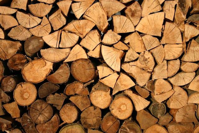 Ilustrasi daerah yang dikenal sebagai penghasil kayu hitam di Indonesia ialah. Sumber: pexels.com