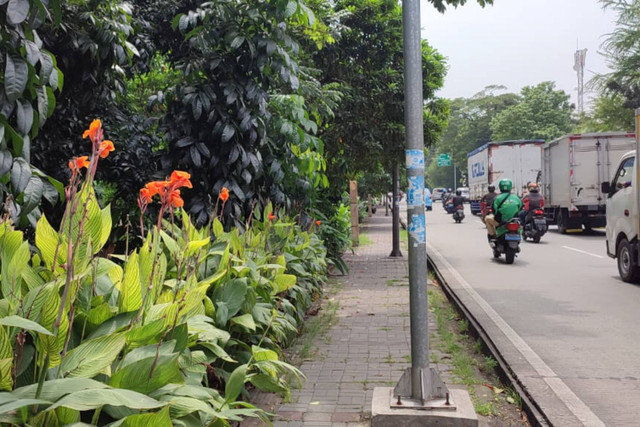 Bungkus kondom dan suasana di sekitar RTH Jalan Tubagus Angke, Jakarta Barat, pada Kamis (2/5/2024) Foto: Rachmadi Rasyad/kumparan