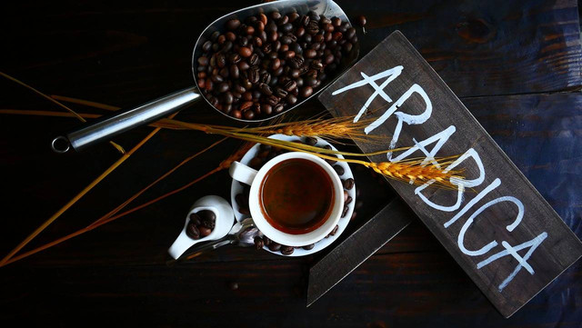 Ilustrasi Kopi Arabica cocok untuk apa?. Sumber: pixabay