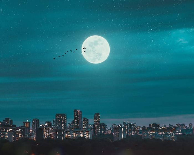 Wisata Malam Sentul (Foto hanya ilustrasi, bukan tempat sebenarnya) Sumber: unsplash.com/ Thula Na