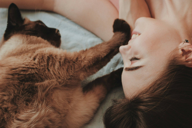 Ilustrasi Cara Komunikasi dengan Kucing. Sumber: Unsplash