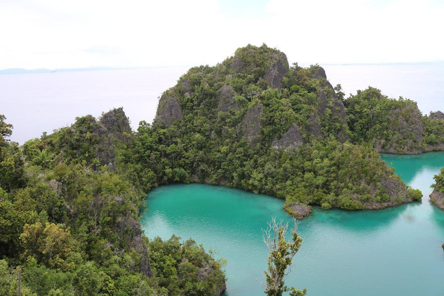 Cotage Raja Ampat, Papua. Foto : pixabay.com