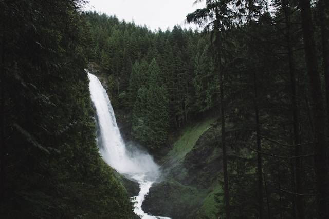 Curug Golosor. Foto hanya ilustrasi, bukan tempat sebenarnya. Sumber: Unsplash/Kash