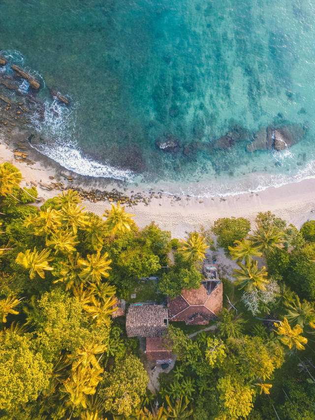 https://www.pexels.com/id-id/foto/foto-mata-burung-garis-pantai-di-samping-pepohonan-1078983/