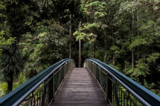 Wisata di Kamojang. Foto hanyalah ilustrasi bukan tempat sebenarnya. Sumber: Unsplash/Tim Swaan