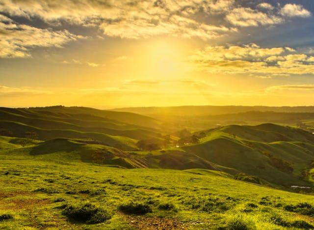 Pantan Terong di Takengon. Foto hanya ilustrasi bukan tempat sebenarnya. Sumber foto: pexels.com