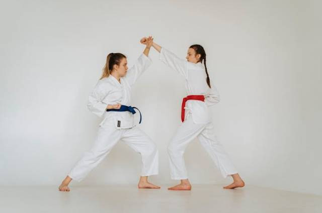 Ilustrasi tips memulai karate untuk dewasa, sumber foto: olia danilevich by pexels.com
