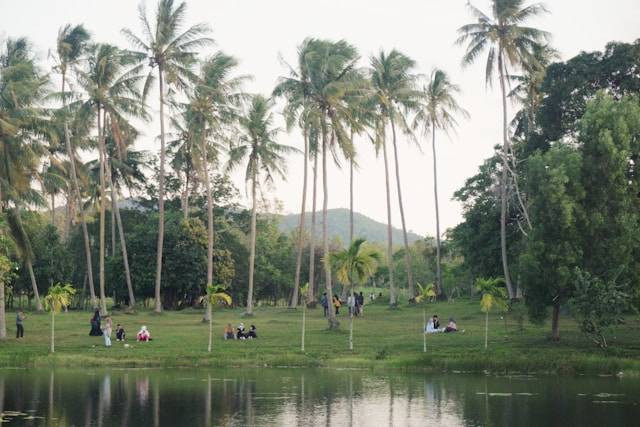 Daya Tarik Situ Sangiang Majalengka. Foto hanya ilustrasi bukan tempat sebenarnya. Sumber foto: Unsplash.com/M. Zakiyuddin Munziri