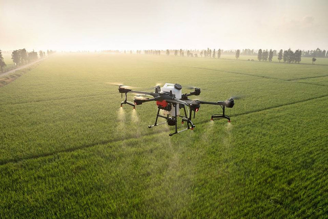 Ilustrasi cara menerbangkan drone untuk pemula. Sumber: pixabay