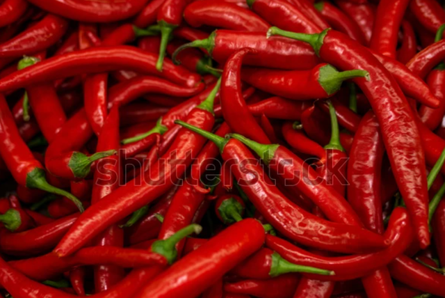 Sumber : https://www.shutterstock.com/id/image-photo/red-hot-chilli-peppers-pattern-texture-1096661960