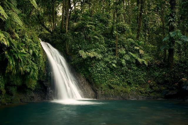 Curug Panganten Kembar, foto hanya ilustrasi, bukan gambar sebenarnya, Pexels/ Greg Galas