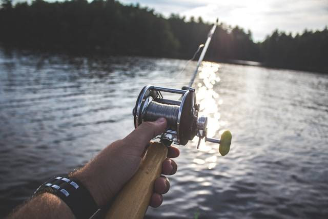 Strategi Memancing Ikan Tombro di Rawa. Foto Hanya Ilustrasi. Sumber Foto: Unsplash.com/Brady Rogers
