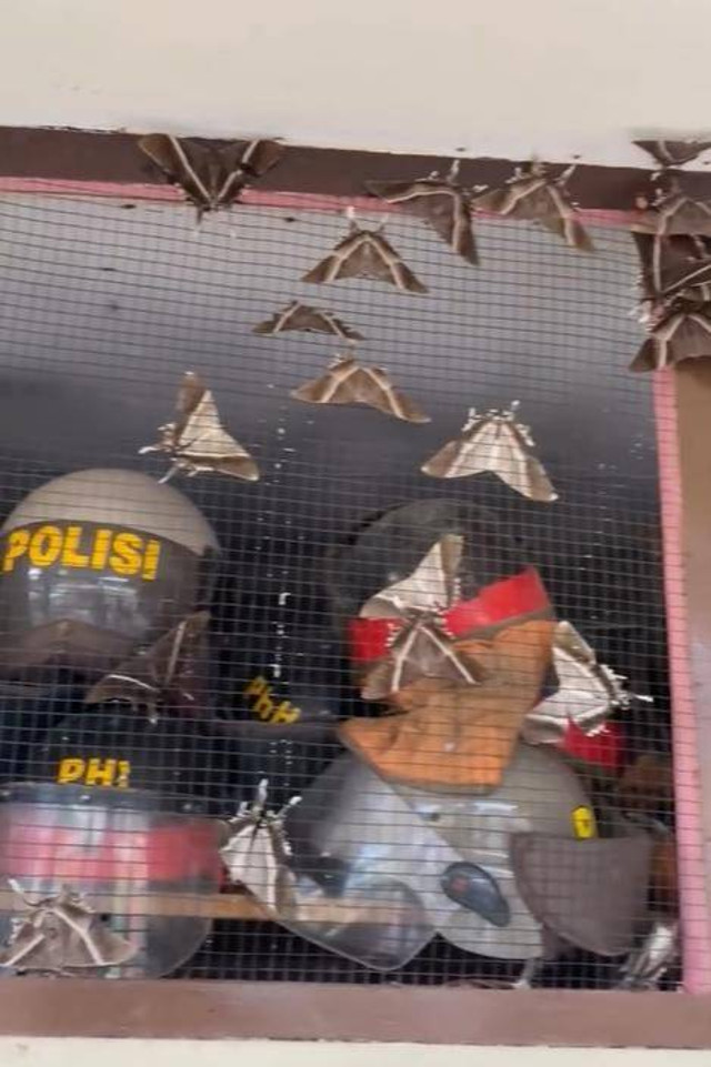 Fenomena ribuan kupu-kupu besar hinggap di Mako Polres Mentawai. Foto: Dok Instagram humas_polres_mtw